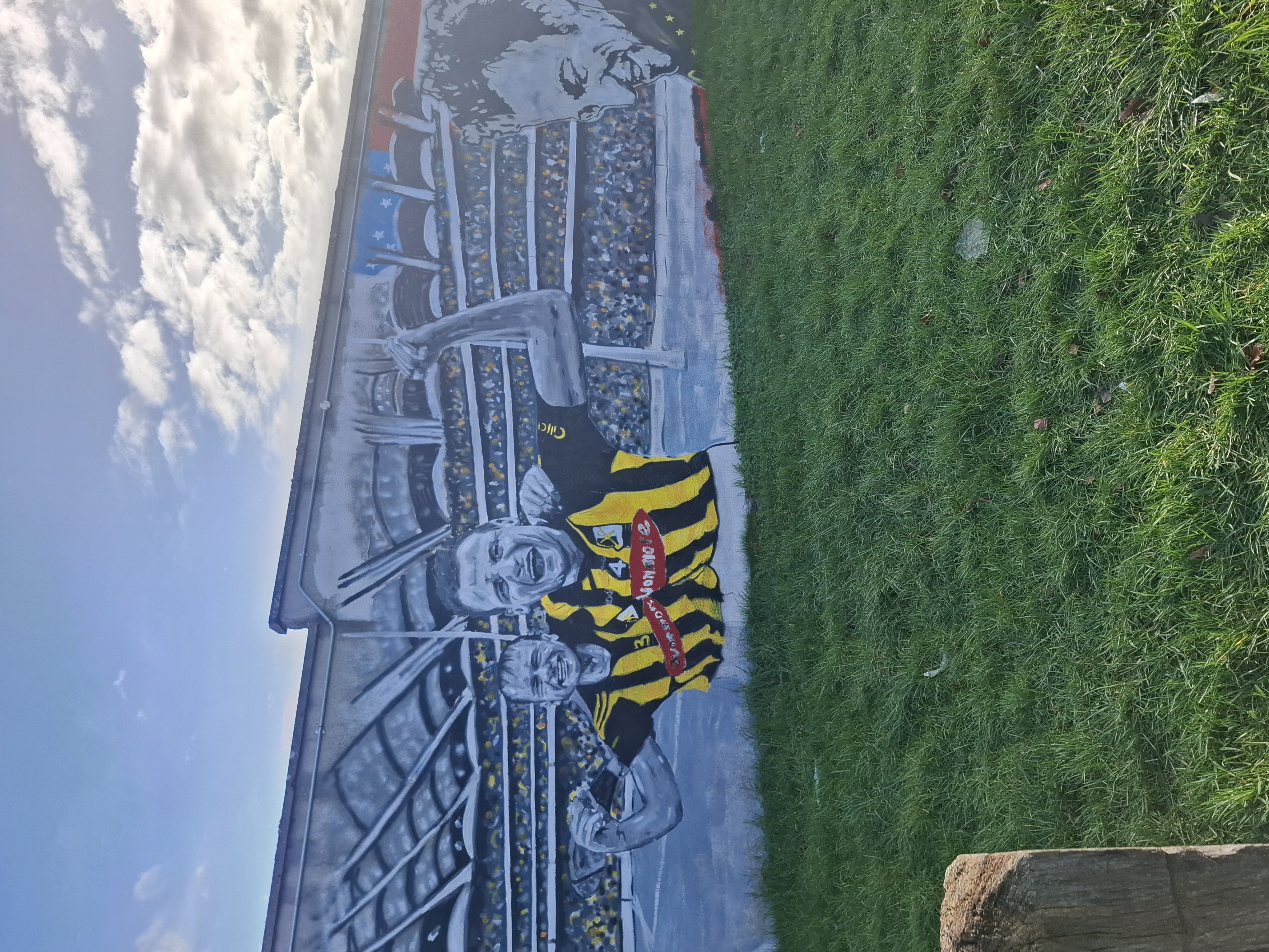 Hurling wall of fame celebrating Kilkenny's greatest players and GAA history